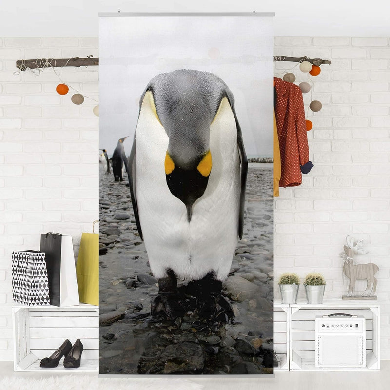 Bilderwelten Raumteiler Pinguine 250x120cm inkl. transparenter Halterung 250x120cm incl. transparent