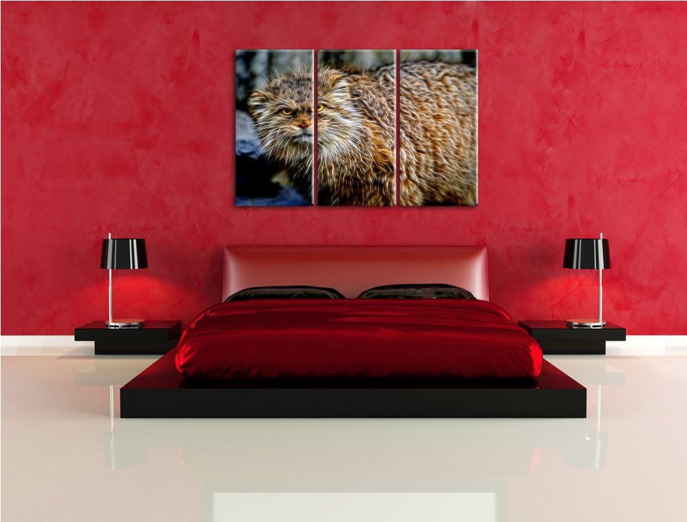 wütende Manul Spezial 3-Teiler Leinwandbild 120x80 Bild auf Leinwand, XXL riesige Bilder fertig gera
