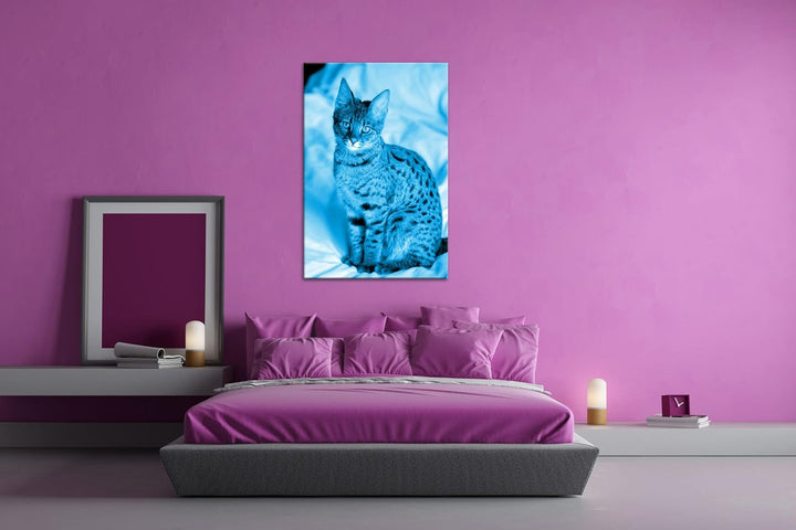 deyoli süsse Savannah Katze Format 80x60 Effekt: Monocrome Blau als Leinwandbild, Motiv fertig gerah