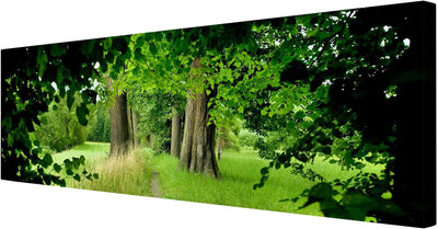 Bilderwelten Leinwandbild - Verborgene Lichtung - Panorama Quer, 30cm x 90cm, 30cm x 90cm