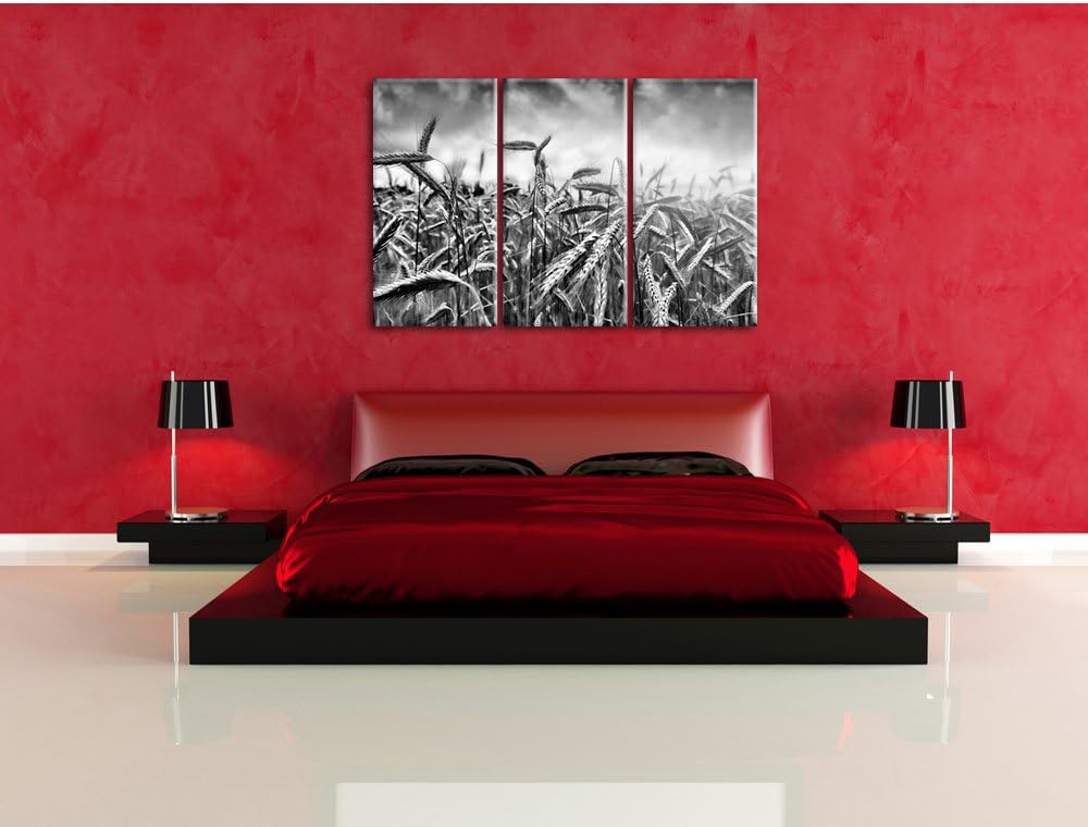 Pixxprint Getreide im Sonnenlicht als Leinwandbild 3 teilig/Grösse: 3 Teilig (120x80) / Wandbild/Kun