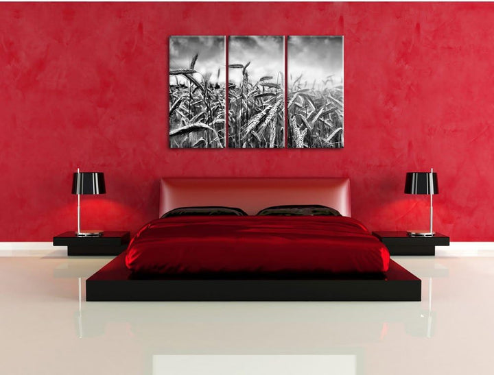 Pixxprint Getreide im Sonnenlicht als Leinwandbild 3 teilig/Grösse: 3 Teilig (120x80) / Wandbild/Kun