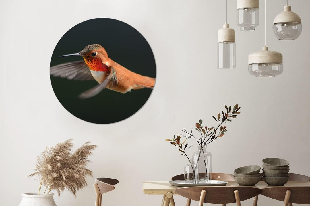 MuchoWow Wandbild Rund Wanddeko Deko Wohnzimmer Bilder 90x90 cm Kolibri - Federn - Schwarz, 90x90 cm