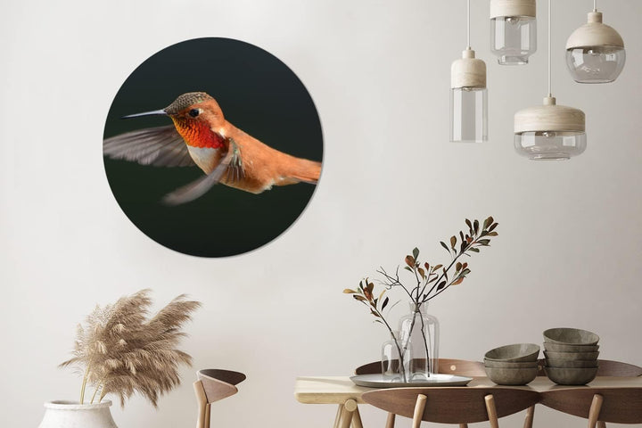 MuchoWow Wandbild Rund Wanddeko Deko Wohnzimmer Bilder 90x90 cm Kolibri - Federn - Schwarz, 90x90 cm