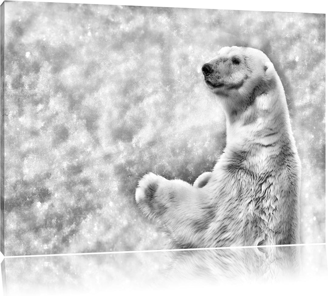Pixxprint Monocrome, Stehender Eisbär, Format: 100x70 auf Leinwand, 100x70