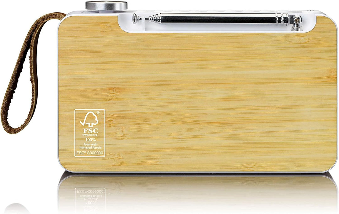 Lenco PDR-040 - Tragbares DBA+ Radio - FM Radio - mit Bluetooth - integrierter Akku mit 2000mAh - 3