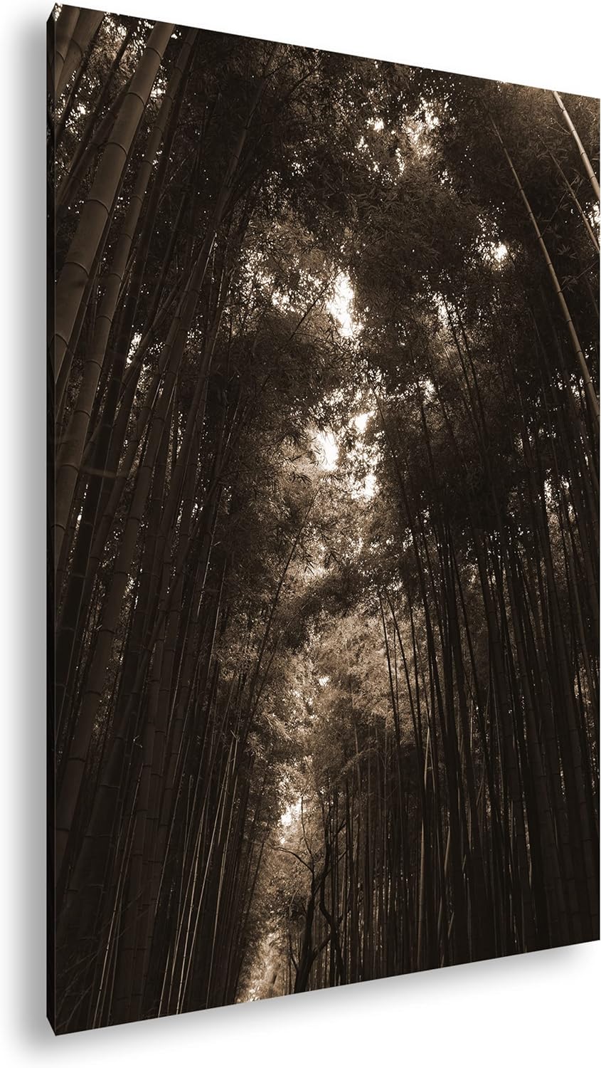 deyoli ein Wald voller Bambus Effekt: Sepia, Format: 80x60 als Leinwandbild, Motiv fertig gerahmt au