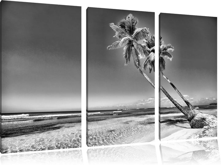 Pixxprint Monocrome, Palmen am Strand 3-Teiler Leinwandbild 120x80 Bild auf Leinwand