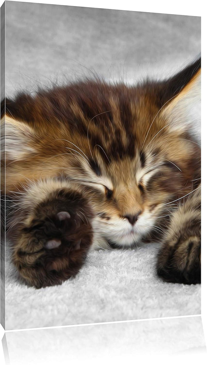 Pixxprint schlafende Katze mit grossen Ohren als Leinwandbild/Grösse: 100x70 / Wandbild/Kunstdruck/f
