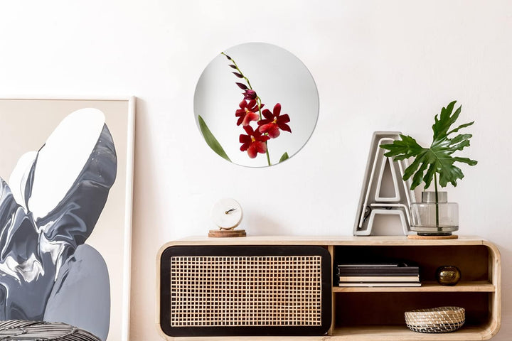 MuchoWow Wandbild Rund Wanddeko Deko Wohnzimmer Bilder 30x30 cm Rote Orchidee mit Blättern auf weiss