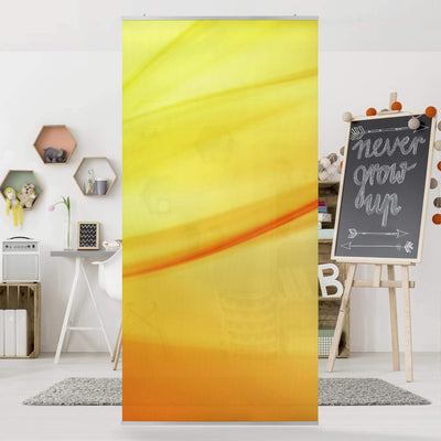 Bilderwelten Raumteiler Gold Fever 250x120cm inkl. transparenter Halterung 250x120cm incl. transpare