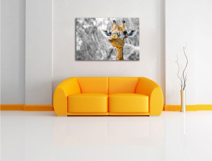 Pixxprint Giraffe in der Natur B&W Detail als Leinwandbild/Grösse: 100x70 cm/Wandbild/Kunstdruck/fer