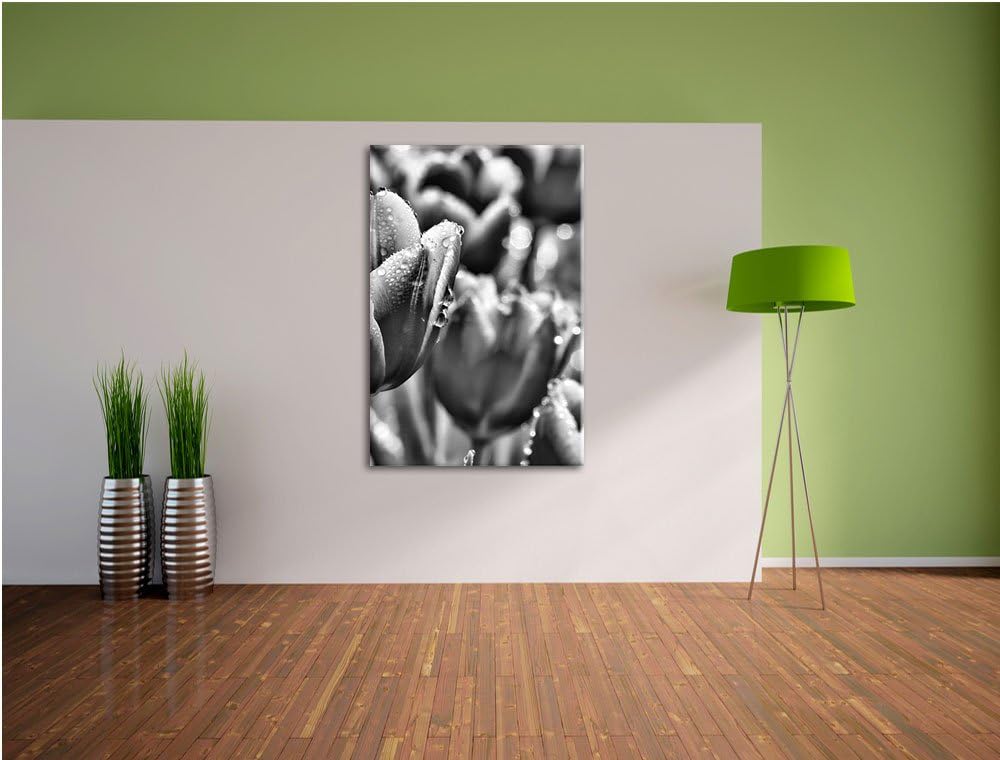 Pixxprint Monocrome, Pinke Tulpen mit Morgentau, Format: 100x70 auf Leinwand, riesige Bilder fertig