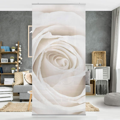 Bilderwelten Rosenbild Raumteiler White Rose Blumen Raumtrenner 250x120cm ohne Halterung 250x120cm w