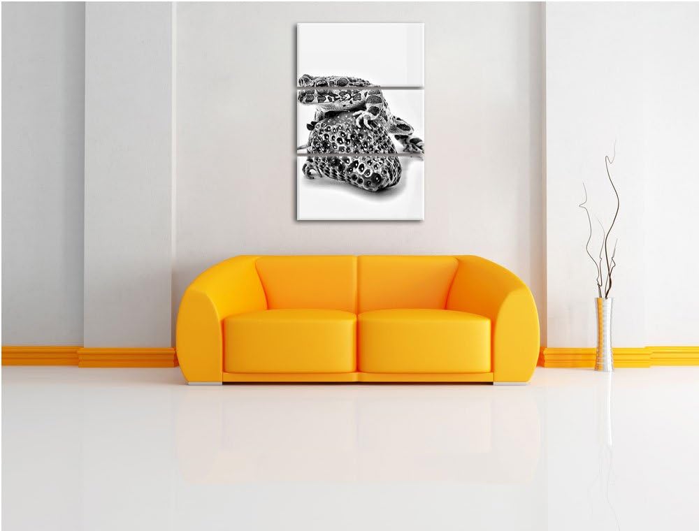 Pixxprint Monocrome, Strawberry Frog Glas Erdbeere Frosch 3-Teiler Leinwandbild 120x80 Bild auf Lein