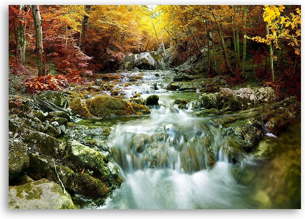 Febby Vlies Leinwandbild XXL Waldbach Kaskade 80x60 cm Wandbild Kunst Bilder Schlafzimmer Deko Wohnz