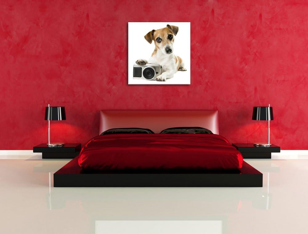 Pixxprint Niedlicher Hundewelpe mit Kamera als Leinwandbild/Grösse: 70x70 cm/Wandbild/Kunstdruck/fer