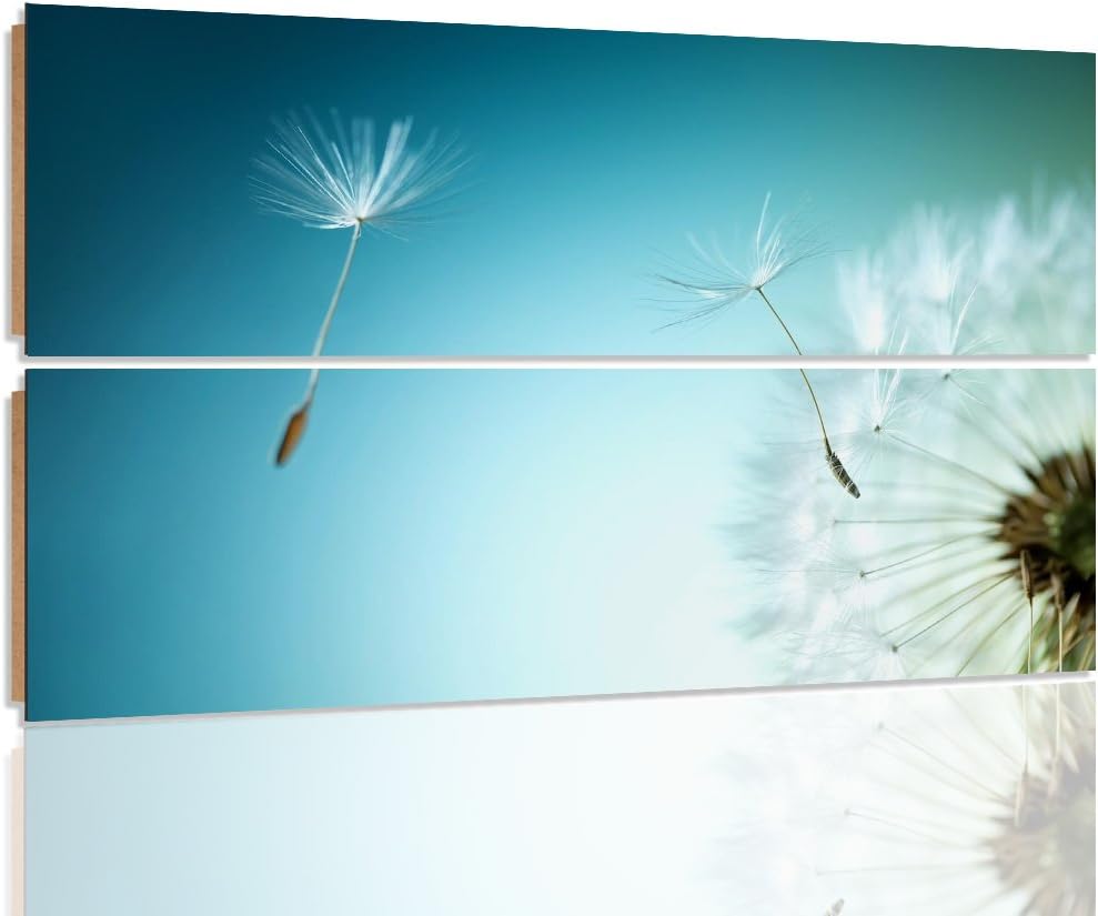 Feeby. Wandbilder - 2 Teile - 80x80 cm - rechteckige Form Bilder Kunstdrucke Deko Panel LÖWENZAHN, N