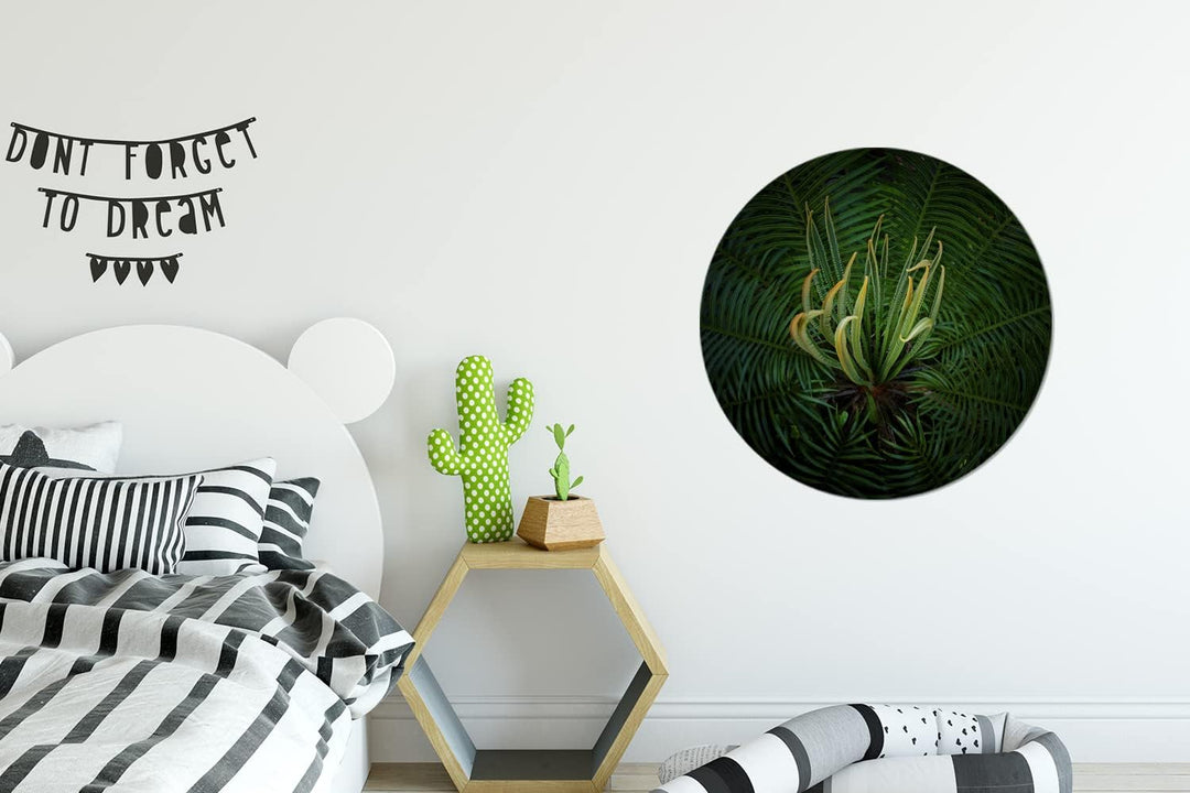 MuchoWow Wandbild Rund Wanddeko Deko Wohnzimmer Bilder 60x60 cm Eine blühende Cycad-Pflanze auf schw