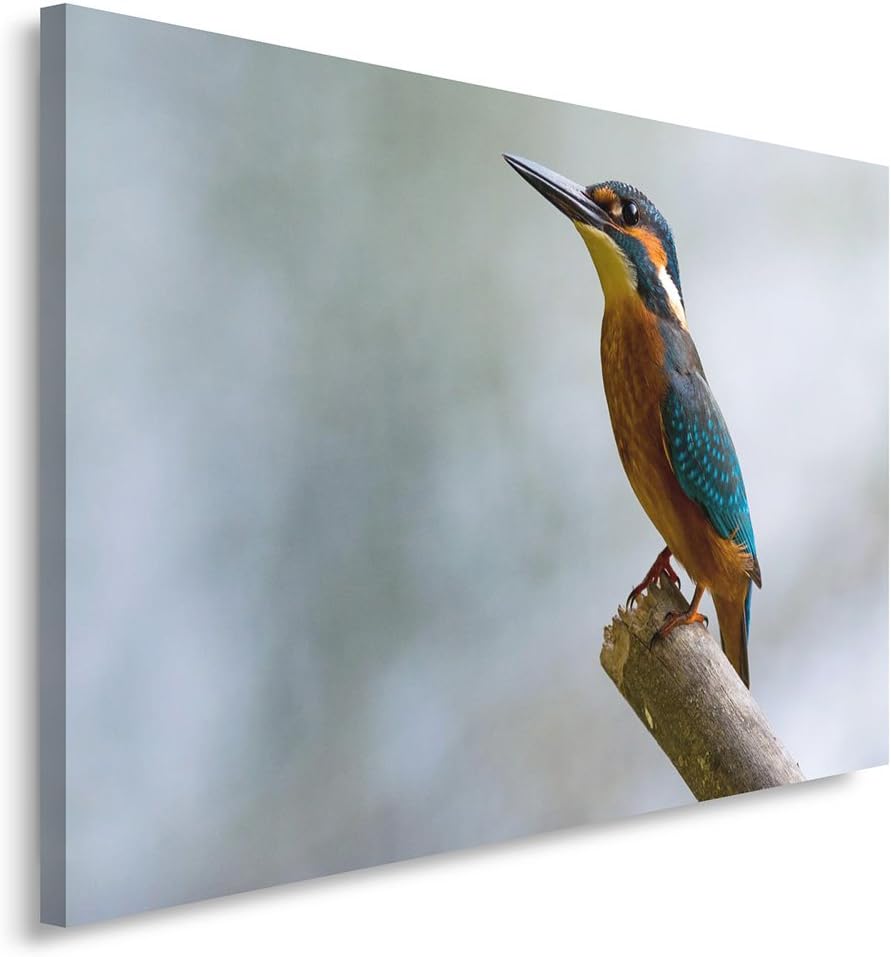 Feeby. Wandbild - 1 Teilig - 80x120 cm, Leinwand Bild Leinwandbilder Bilder Wandbilder Kunstdruck, V