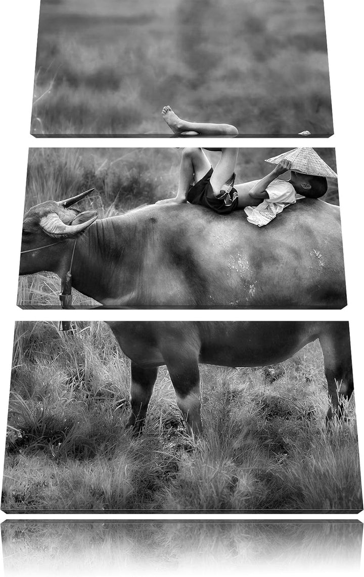 Pixxprint Monocrome, Wasserbüffel trägt Kind 3-Teiler Leinwandbild 120x80 Bild auf Leinwand