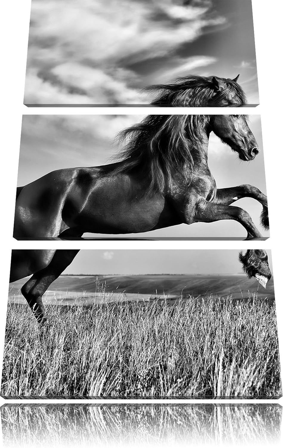 Pixxprint Monocrome, Schwarzer Hengst auf grünen Wiese 3-Teiler Leinwandbild 120x80 Bild auf Leinwan