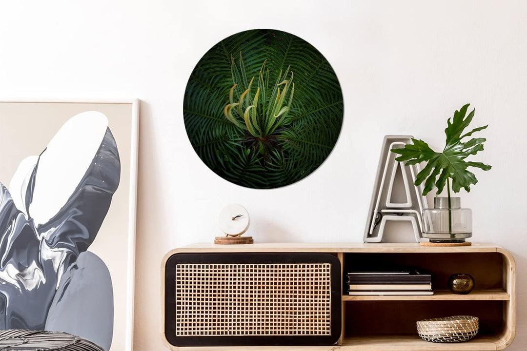 MuchoWow Wandbild Rund Wanddeko Deko Wohnzimmer Bilder 60x60 cm Eine blühende Cycad-Pflanze auf schw