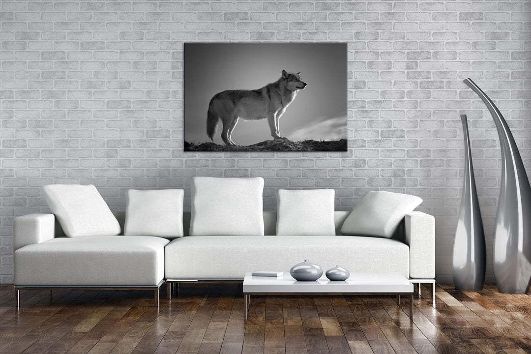 Der Wolf - das Raubtier des Waldes Format: 80x60 als Leinwand, Effekt: Schwarz&Weiss, Motiv fertig g