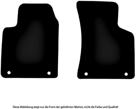 Bär-AfC Auto Fussmatten Exklusiv passend für Audi TT 8N 1998-2006, Autoteppiche Velours Grau, Rand K