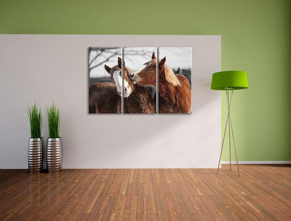 zwei braune Ponys schwarz/weiss 3-Teiler Leinwandbild 120x80 Bild auf Leinwand, XXL riesige Bilder f