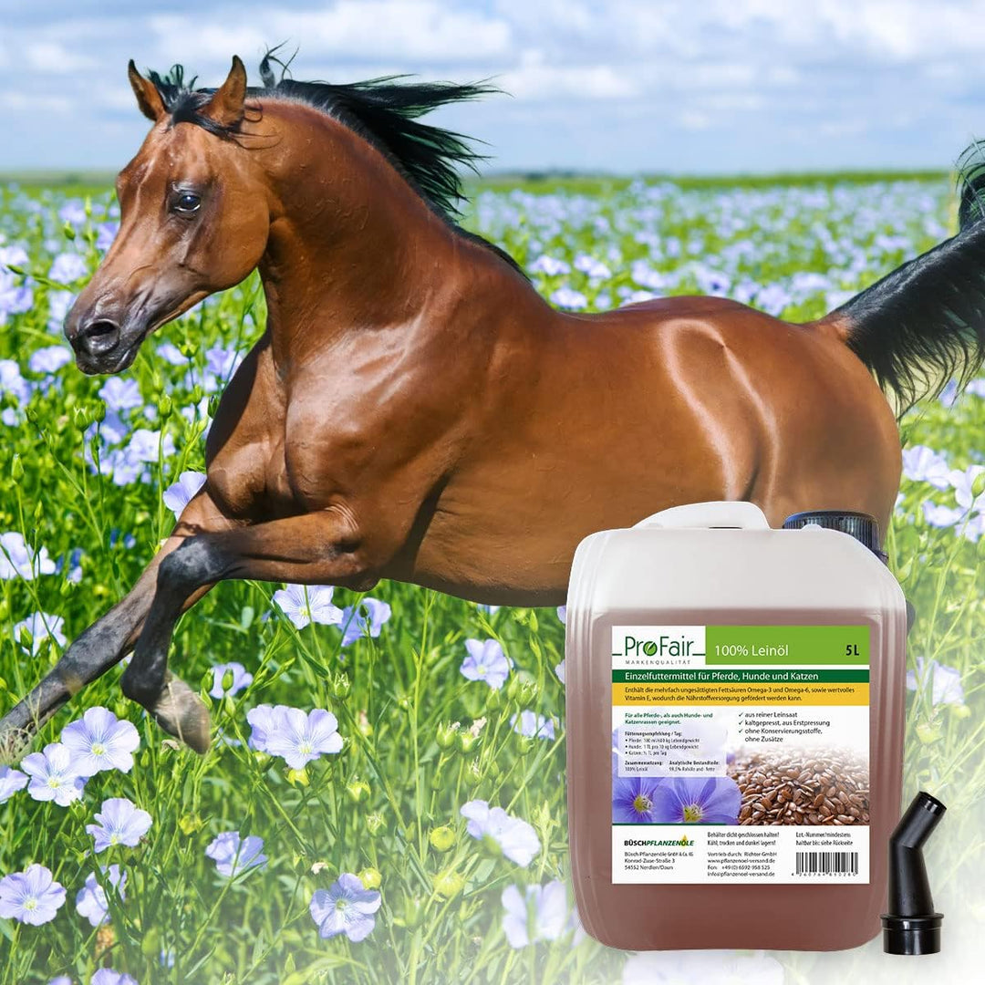 30 Liter ProFair Leinöl (6 x 5 Liter Kanister) kaltgepresst, 100% aus Reiner Leinsaat, ohne Zusätze,