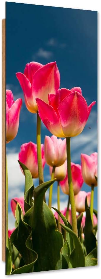 Wandbild Tulpen Modern Deko Kunst Bilder Blumen Rosa 30x90 cm M14010 30x90 cm, M14010 30x90 cm