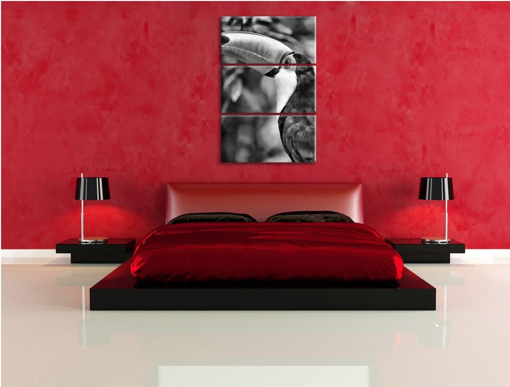 Pixxprint Bunter Tukan als Leinwandbild/Grösse: 3 Teilig (120x80) cm/Wandbild/Kunstdruck/fertig besp