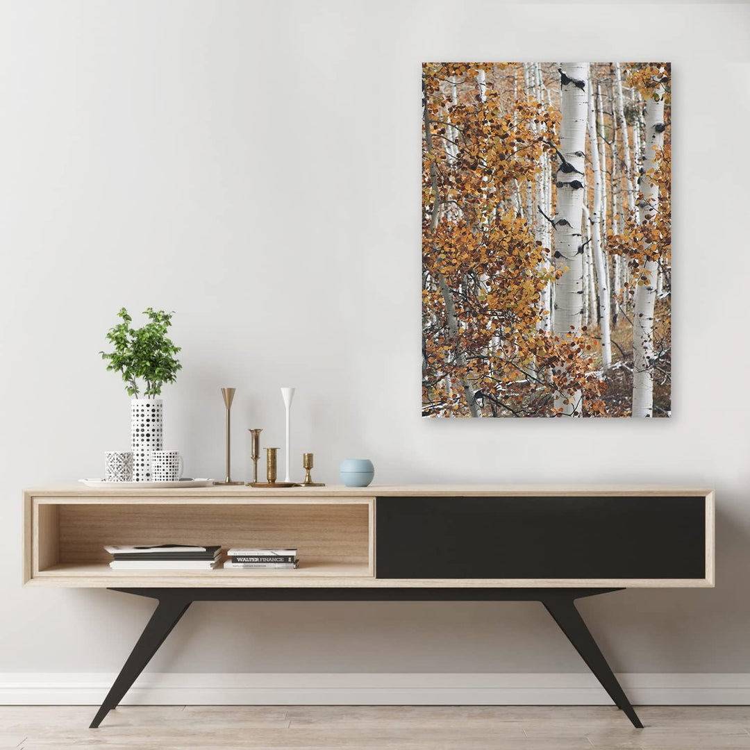 Feeby Bild auf Leinwand Birke Wald Landschaft XXL 60x90 cm 1Teilig Modern Vlies Bilder Leinwandbilde