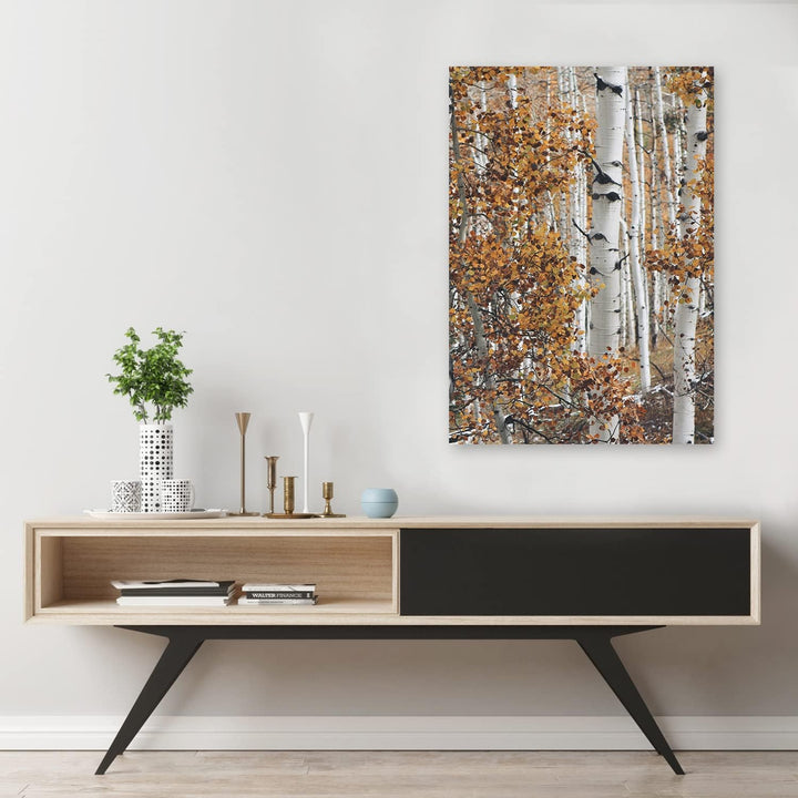 Feeby Bild auf Leinwand Birke Wald Landschaft XXL 60x90 cm 1Teilig Modern Vlies Bilder Leinwandbilde