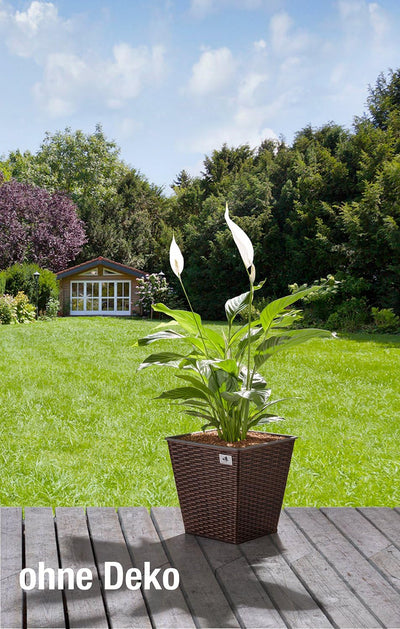 Gartenfreude 2 Stück 31 Liter Pflanzkübel Pflanzgefässe Blumenkübel Blumentopf für Blumen etc. aus P