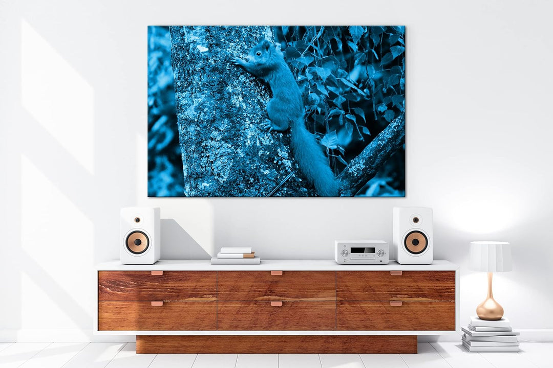 deyoli kleines niedliches Eichhörnchen auf einem Baum Format 80x60 Effekt: Monocrome Blau als Leinwa