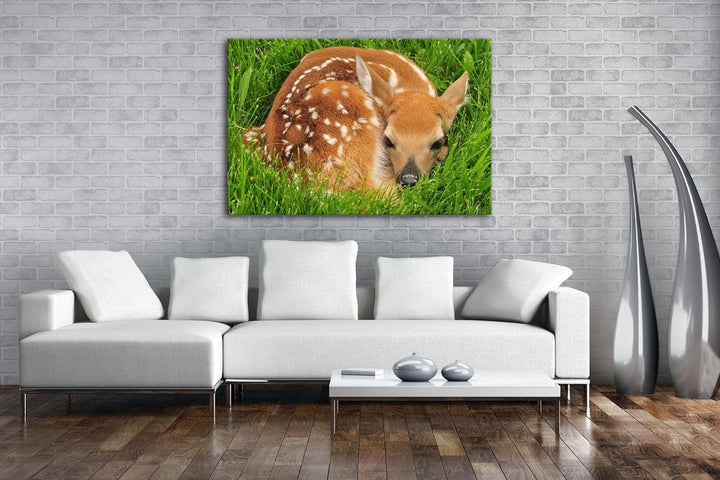 deyoli goldiges Rehkitz im hohen Gras Format: 80x60 als Leinwandbild, Motiv fertig gerahmt auf Echth