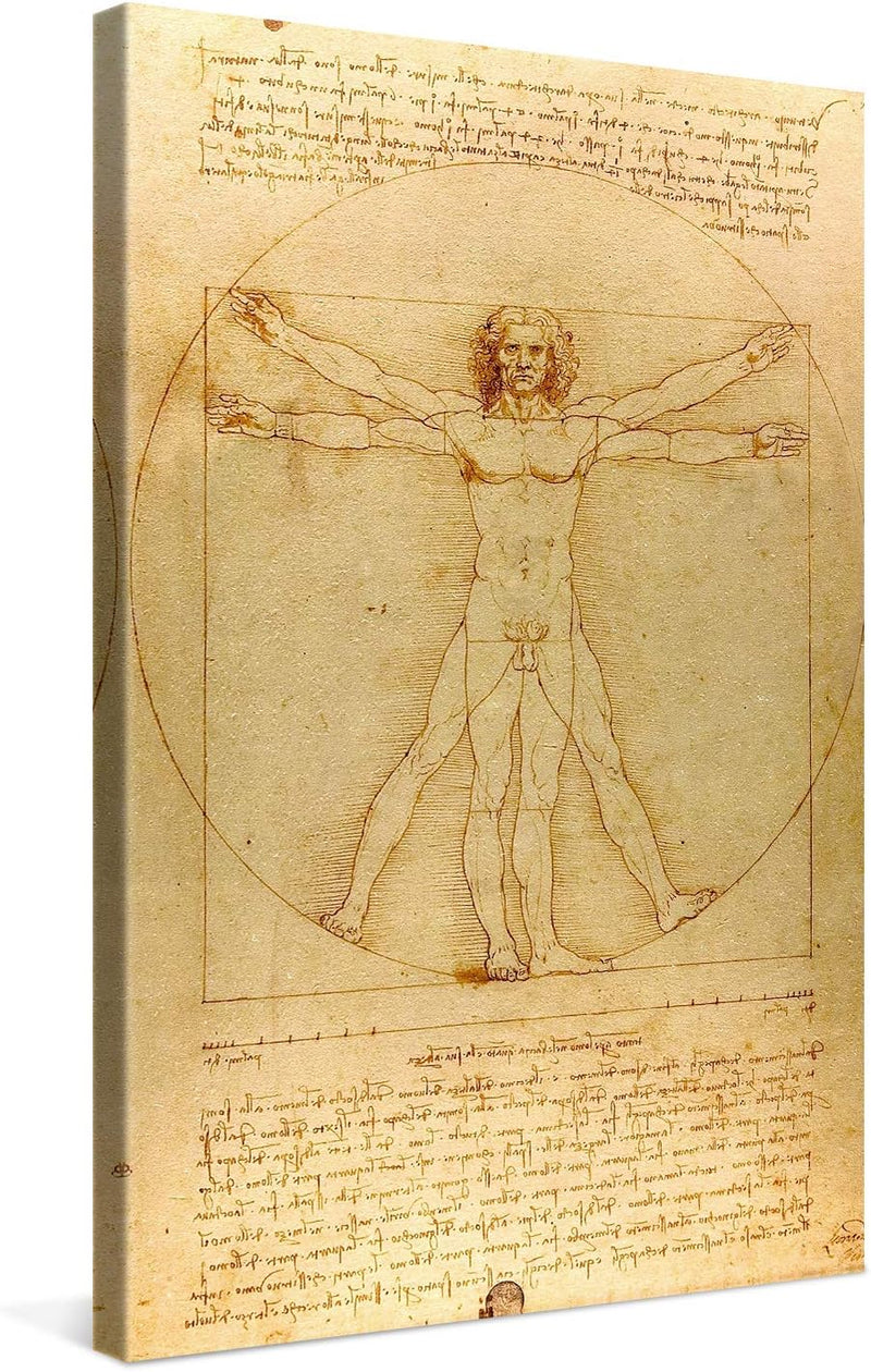 PICANOVA – Leonardo da Vinci – Vitruvian Man 40x60cm – Bild auf Leinwand – Premium Kunstdruck Auf 2c