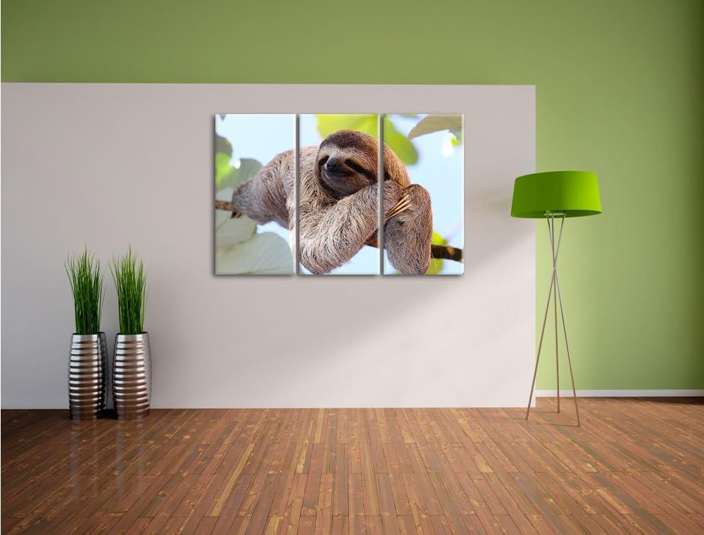 Pixxprint schönes Faultier hängt von AST als Leinwandbild/Grösse: 3Teilig (120x80) / Wandbild/Kunstd