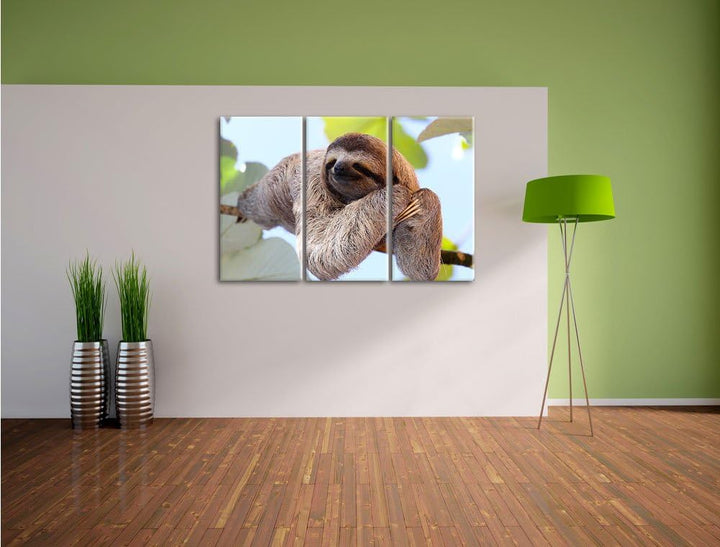 Pixxprint schönes Faultier hängt von AST als Leinwandbild/Grösse: 3Teilig (120x80) / Wandbild/Kunstd