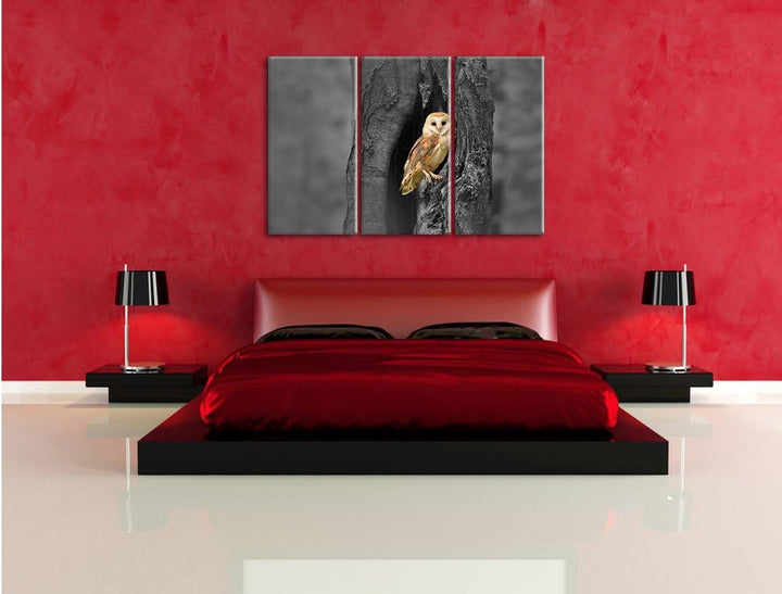 Pixxprint Schleiereule Baumhöhle / 3-Teilig/Gesamtmass 120cm Leinwandbild bespannt auf Holzrahmen/Wa