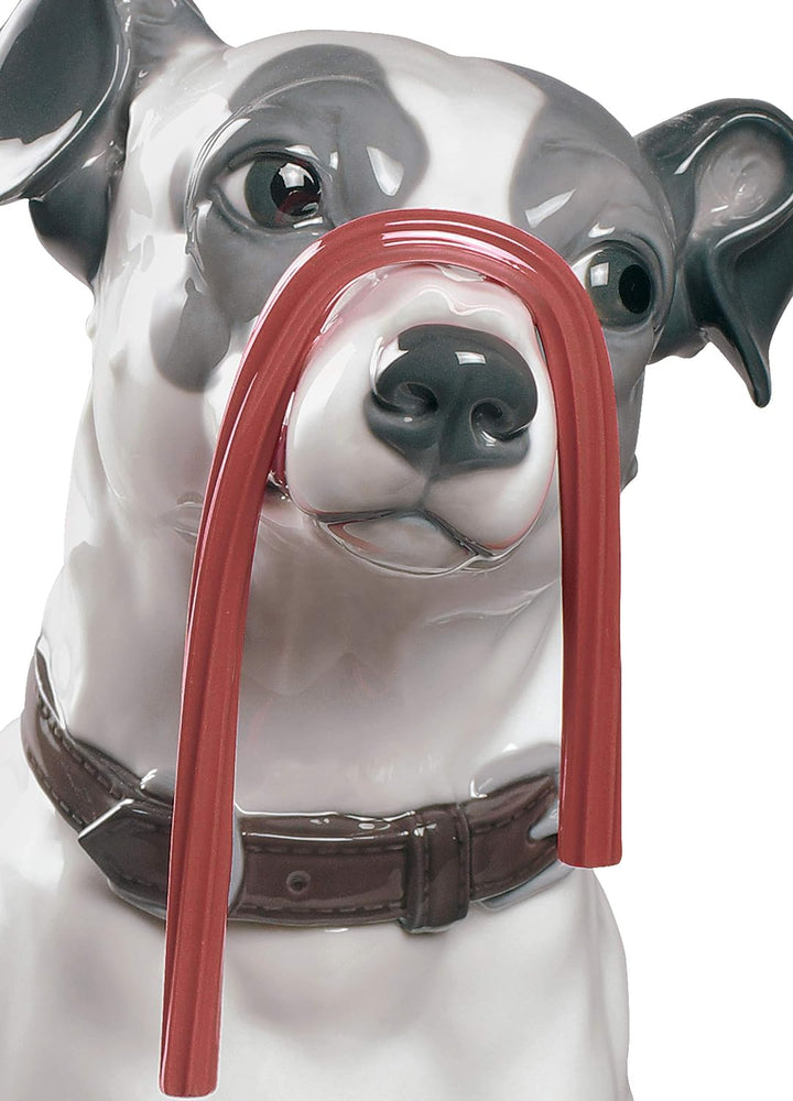 LLADRÓ Hunde Figur Jack Russell Mit Lakritz. Jack Russell Dog. Porzellan.