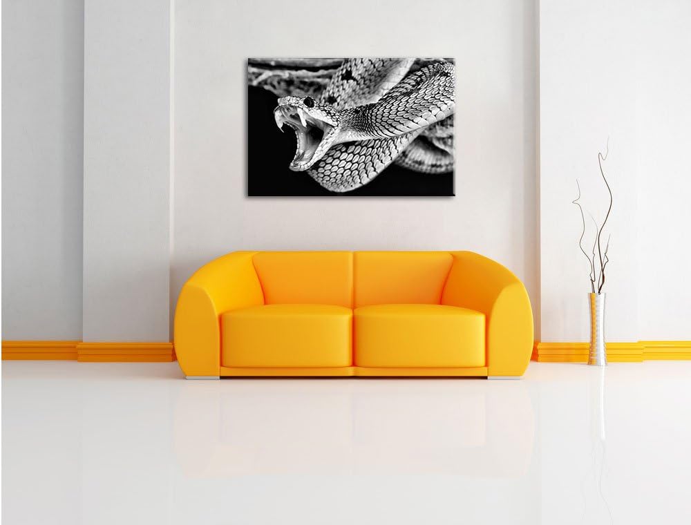 Pixxprint Giftige grüne Schlange als Leinwandbild/Grösse: 100x70 cm/Wandbild/Kunstdruck/fertig bespa