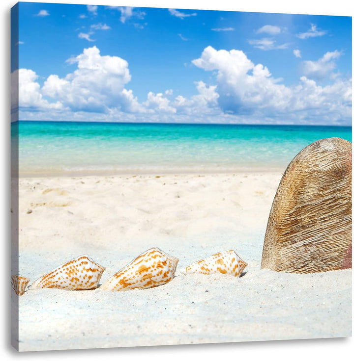 Pixxprint Sandstrand mit Muscheln als Leinwandbild/Grösse: 70x70 cm/Wandbild/Kunstdruck/fertig bespa