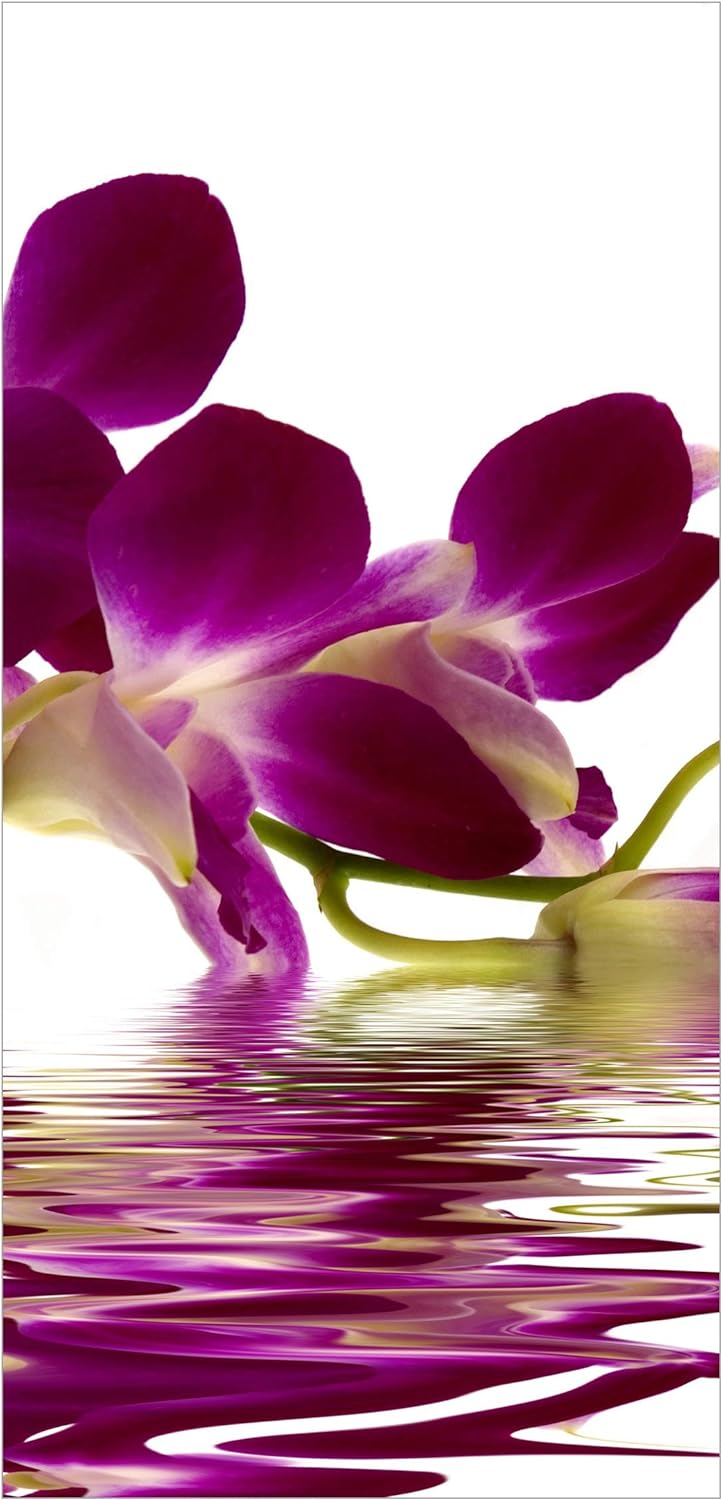 Bilderwelten Raumteiler Pink Orchid Waters 250x120cm inkl. transparenter Halterung, inkl. transparen