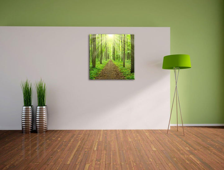 Pixxprint Sonnenlicht bricht in den Wald herein, Format: 70x70 auf Leinwand, 70x70
