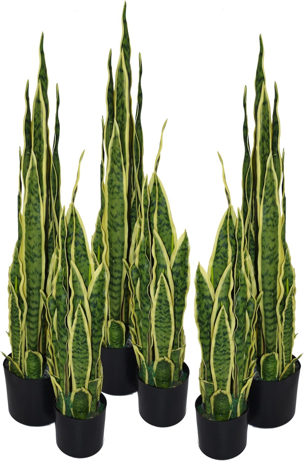 Leaf Kunstpflanze Sansevierie, 55 cm, Gelb/Grün 55cm Sansevieria, 55cm Sansevieria