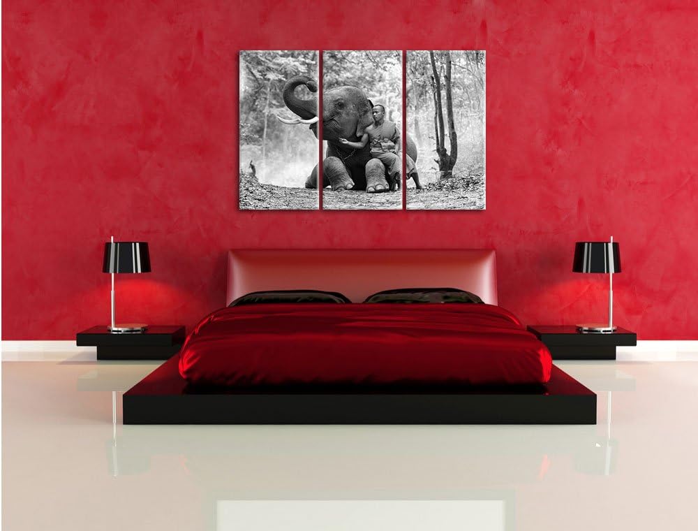 Pixxprint Mönch mit Elefanten im Wald / 3-Teilig/Gesamtmass 120cm Leinwandbild bespannt auf Holzrahm
