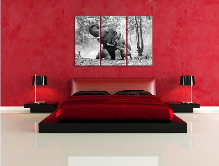 Pixxprint Mönch mit Elefanten im Wald / 3-Teilig/Gesamtmass 120cm Leinwandbild bespannt auf Holzrahm